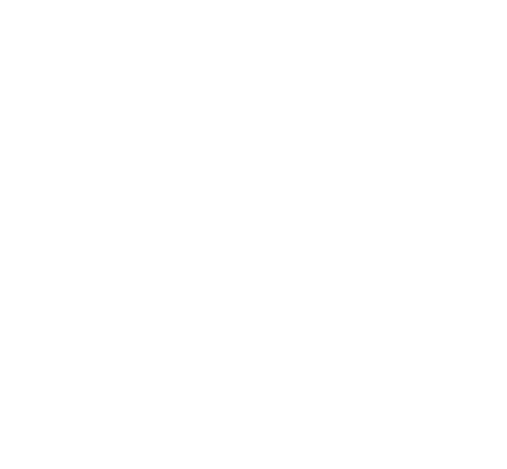 SDL Vinyl Wraps & Customs logo